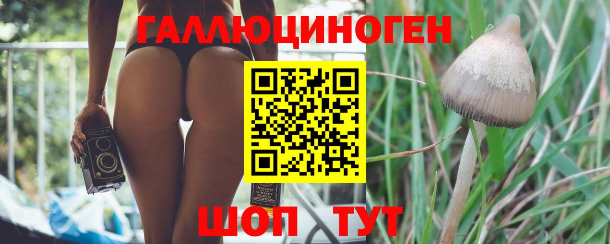 Торжок  Галлюциногенные грибы ЛСД  Вход с VPN  Галлюциногенные грибы GOLDEN TEACHER 
